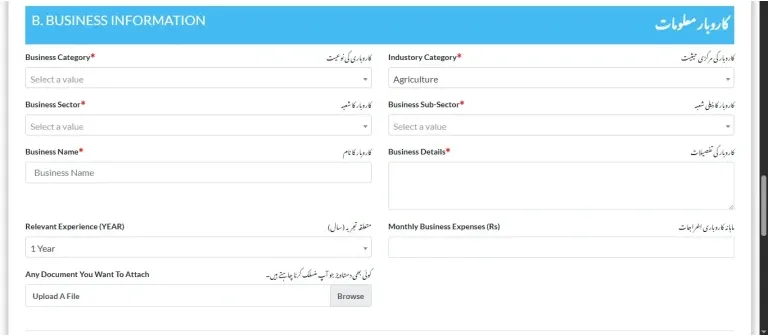 Enter-Business-Information
