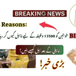 Top 5 Reasons: Why BISP Disqualifies Women For 13500 Stipends?