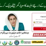 8171 Check Online CNIC Status Online via Web Portal