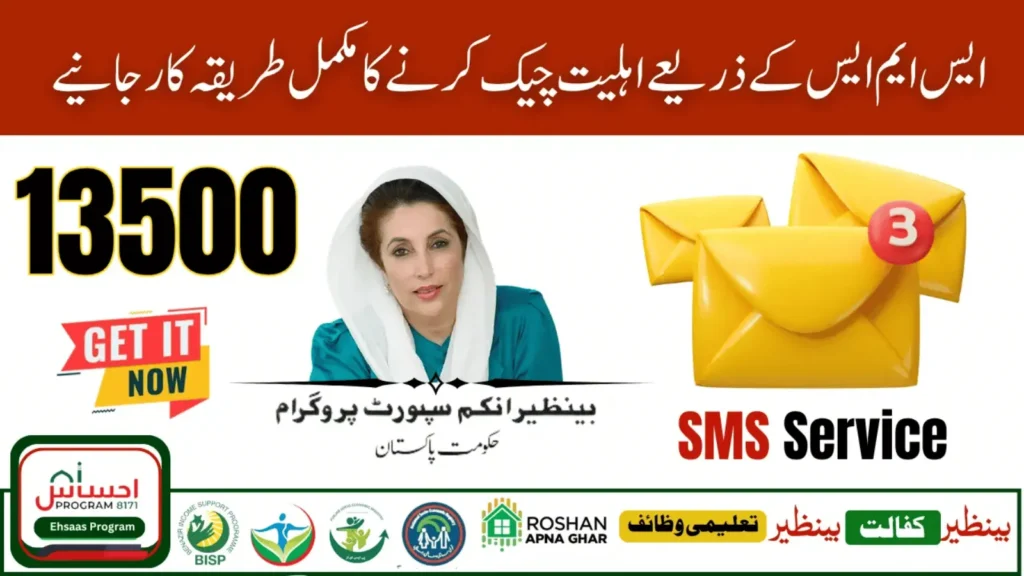How to Check BISP Eligibility Through 8171 SMS – Updated Complete Guide for 2025