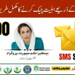 How to Check BISP Eligibility Through 8171 SMS – Updated Complete Guide for 2025