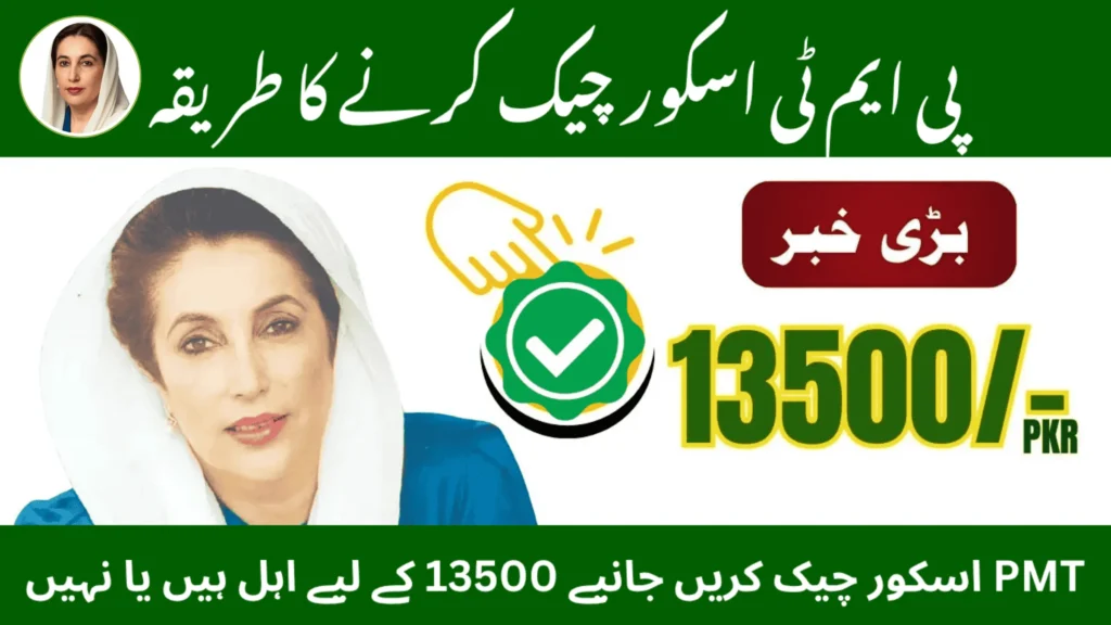 PMT Score Check Online via 8171 – Complete Guide to BISP Eligibility 2025