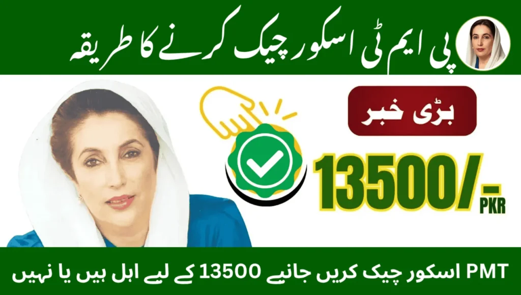 PMT Score Check Online via 8171 – Complete Guide to BISP Eligibility 2025