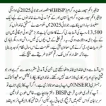 BISP 8171 July 2025 Payment: CNIC Check & Rs 13,500 Disbursement