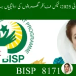 BISP July 2025 Update: Payments Stopped for Tax-Filer Families