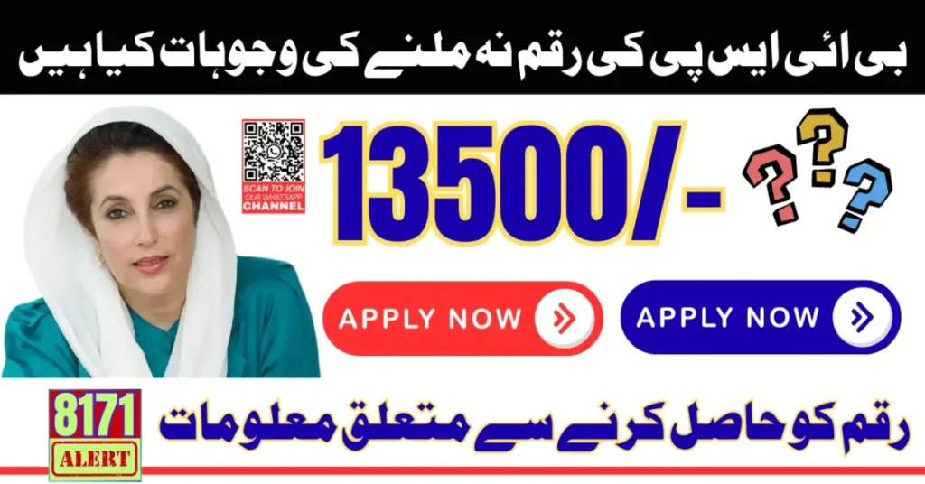 BISP Payment Delay Reasons 2025 – Full Fix Guide Step-by-Step