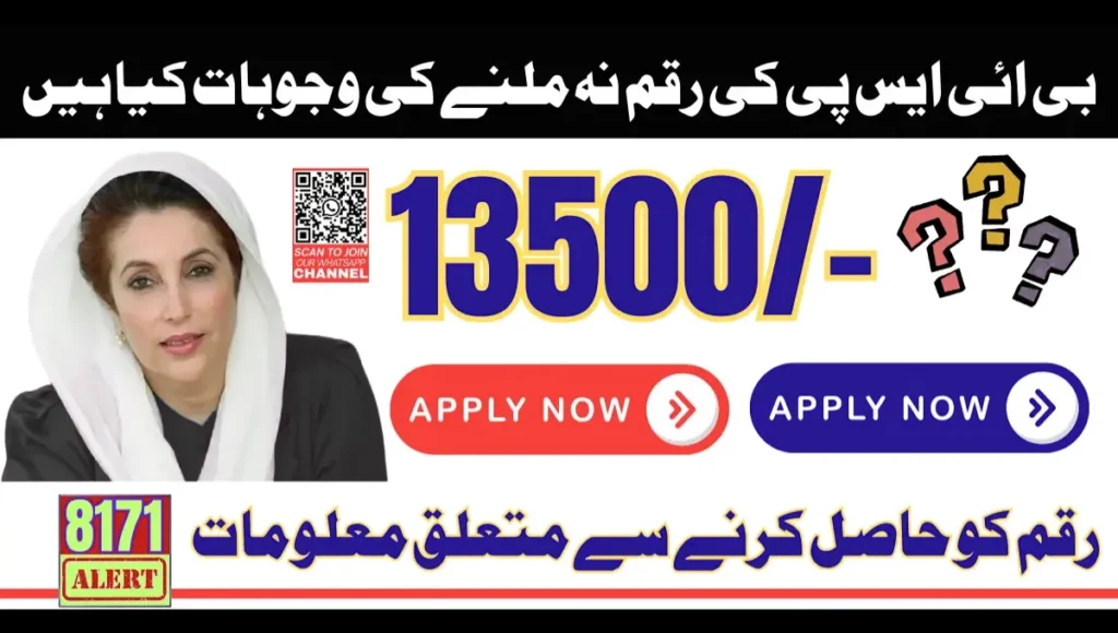 BISP Payment Delay Reasons 2025 – Full Fix Guide Step-by-Step