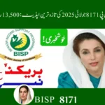 BISP 8171 July 2025 Update – Check Rs.13,500 Payment Status, Reverification & Portal Guide