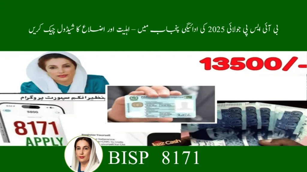 Punjab Districts BISP July 2025 Payments – Full Guide for Beneficiaries