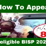 How to Appeal Ineligible BISP 2025 – Full Reapplication Guide