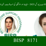 BISP 8171 Web Portal 2025: Full Guide to Payment & Status Check